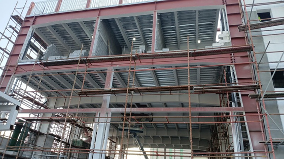 Fireproofed steel frame
